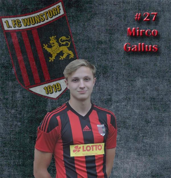 Mirco Gallus