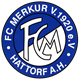 FC Merkur Hattorf 2 Wappen