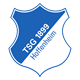 TSG 1899 Hoffenheim 2 Wappen