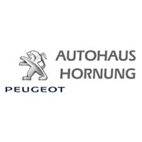 Sponsor - Autohaus Hornung