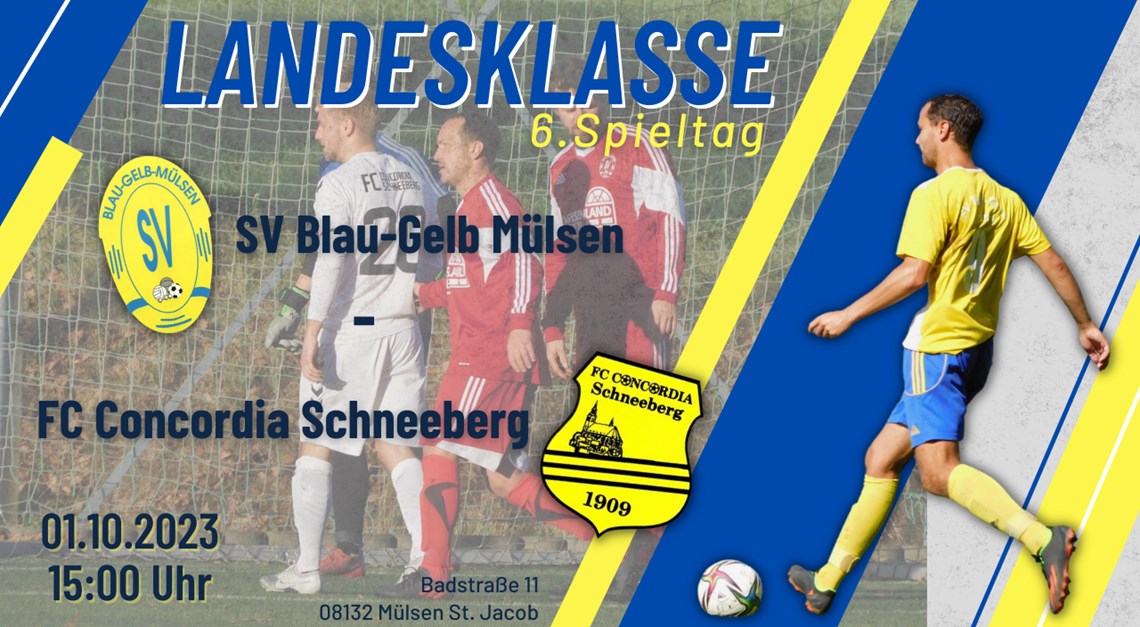Blau-Gelb zu Hause gegen FC Concordia Schneeberg