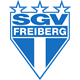 SGV Freiberg Wappen