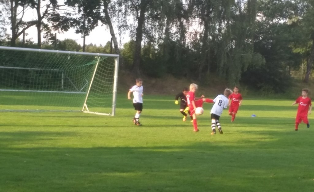 Borstler FC U11 gegen JSG Dörverden U11 am 01.0...