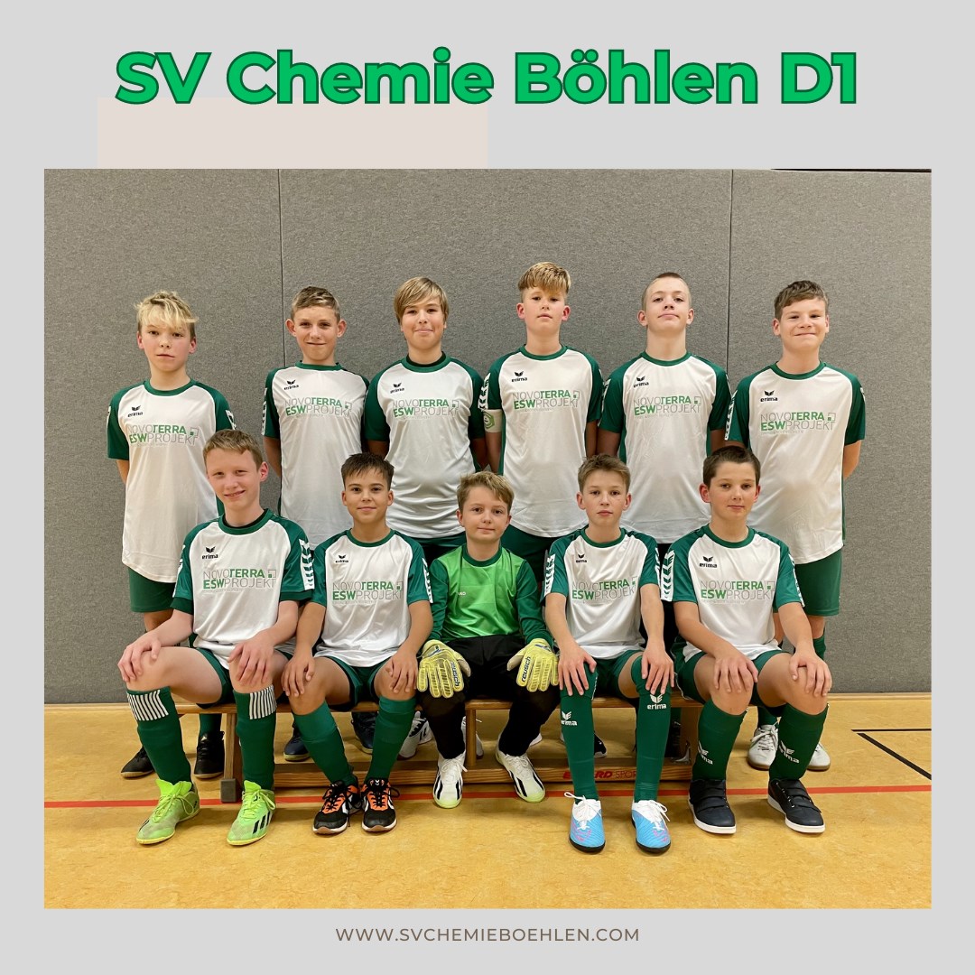 Mannschaftsfoto SV Chemie Böhlen