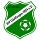 SV Udelfangen Wappen